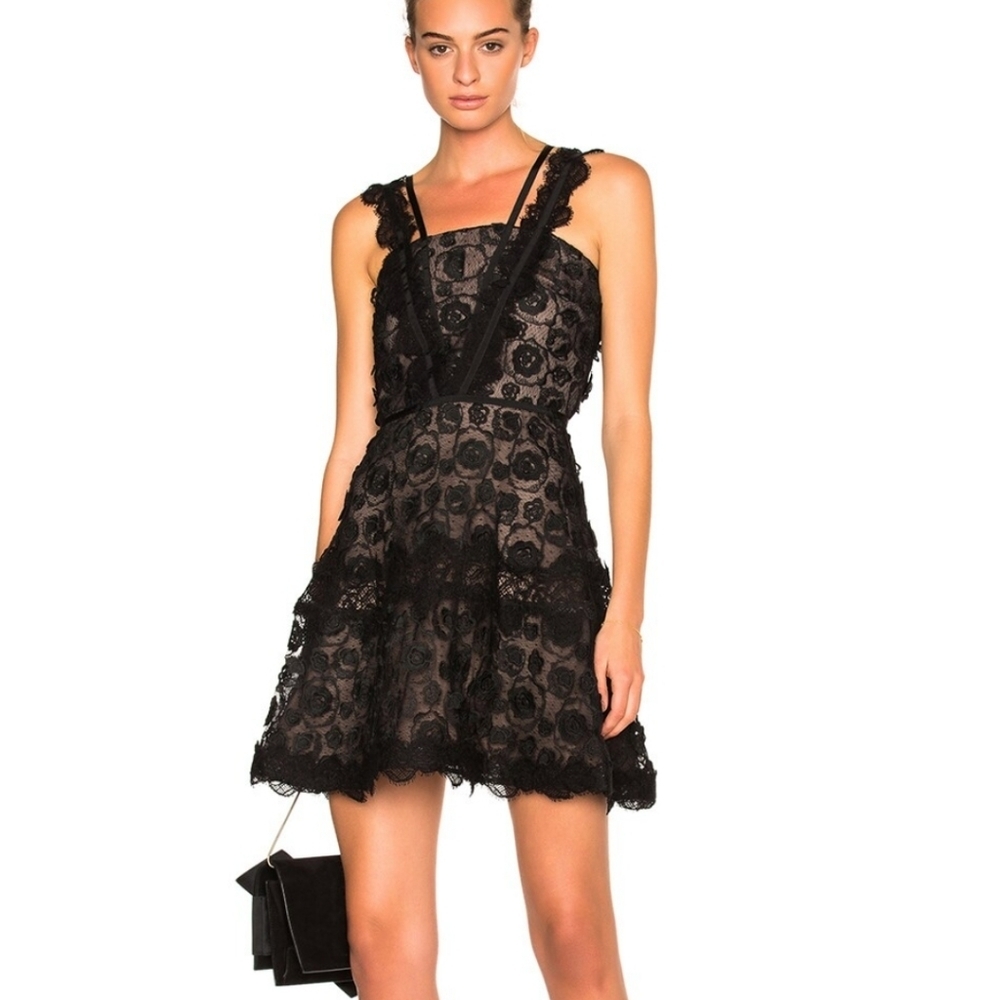 Alexis Black Lace Mini Dress
